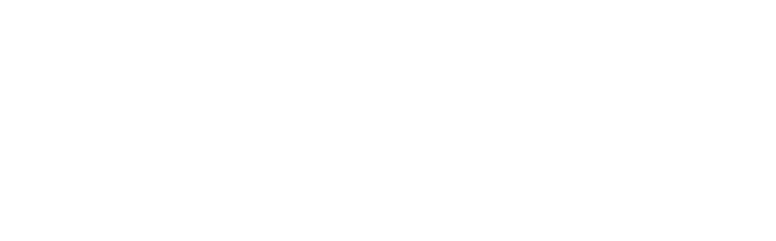 Mint Auto Styling